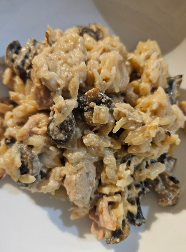 Slow Cooker Creamy Chicken and Bacon Orzo by Ellie H, Kent pinchofnom.com